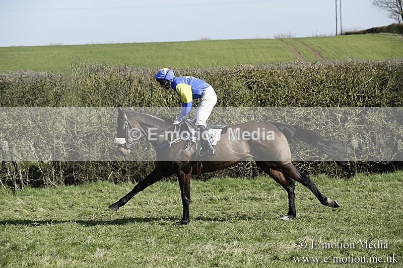 PtP 250317 195 - V.W.H. Hunt Point-to-Point Siddington 25/03/17
