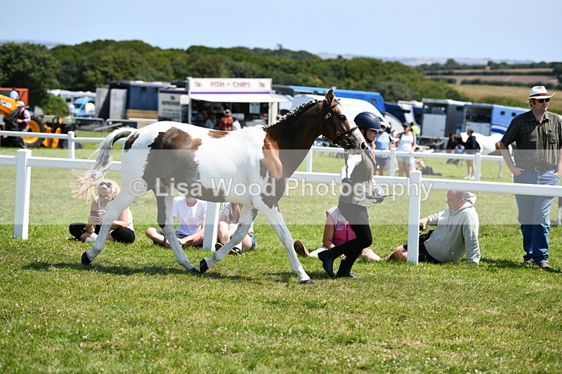 DSC_7638 - Class 64: Coloured Pony 4yrs & over