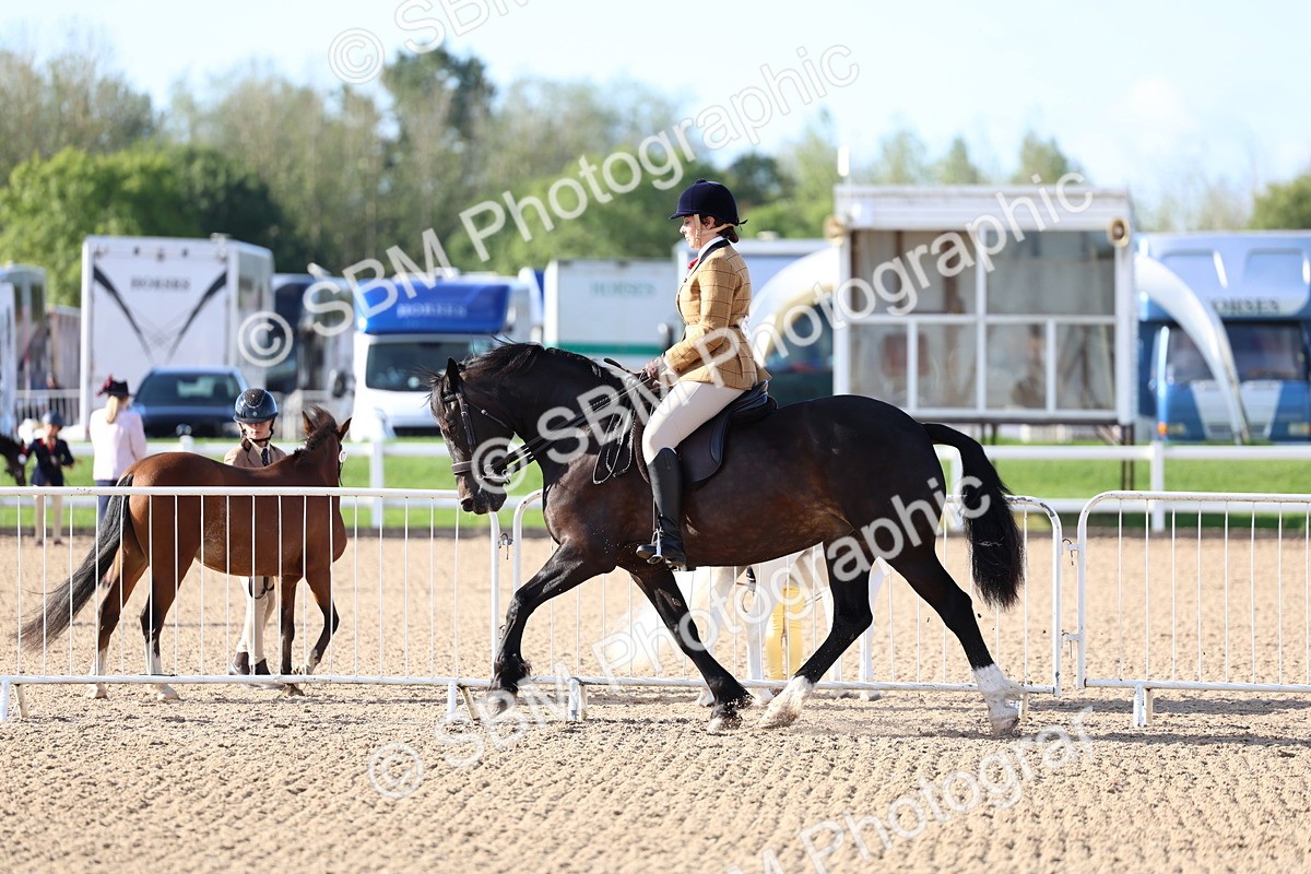 SBM_08908 - Class 302 - Ridden M&M - Large Breeds