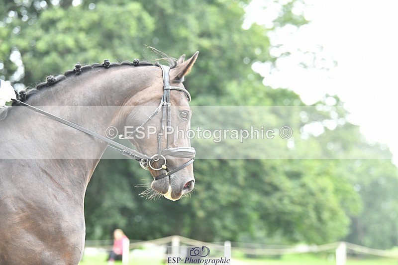 230812-093837-02830 - Cls 6 Novice Silver Start to 10.20 break