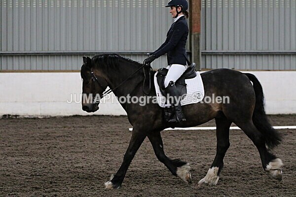 SIAL3900 - CAbin Dressage 5th july 2025