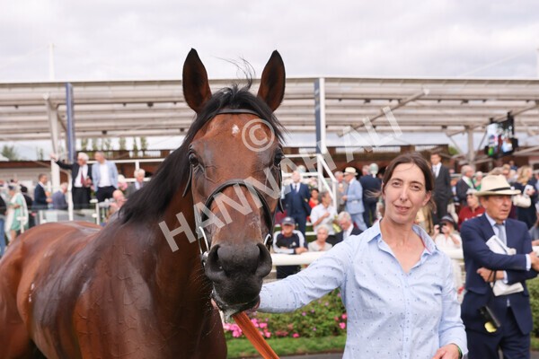 yr19082022r5-50 - Race 5 4.10pm Assured Data Protection EBF Fillies' Stakes