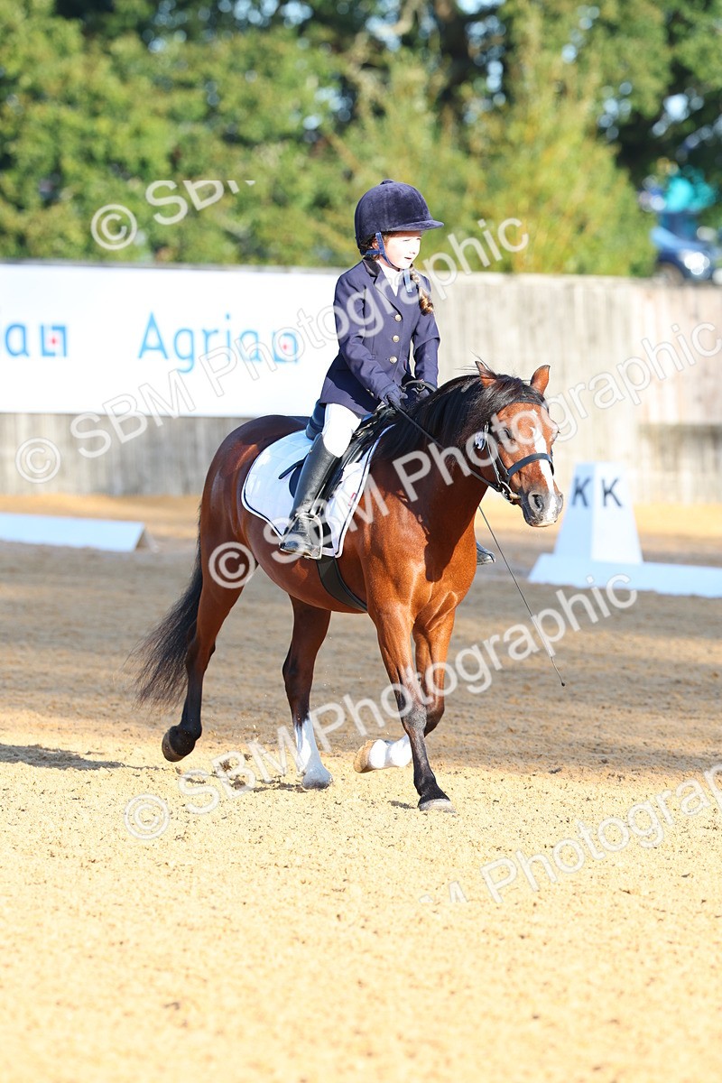 SBM_33498 - D26 - Test Starter Test 1