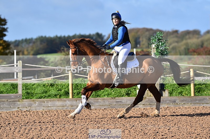 231105A-104052-00390 - 70cm