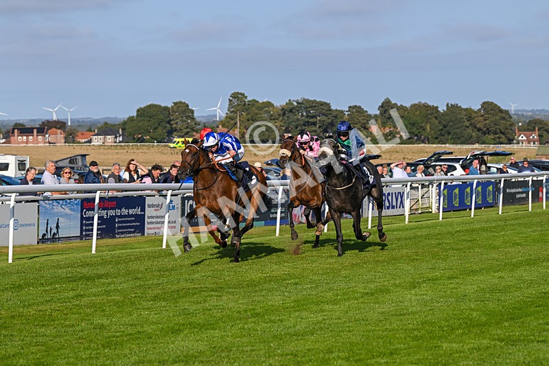 180924-Race 7-Fox Avatar-5227 - Race 7