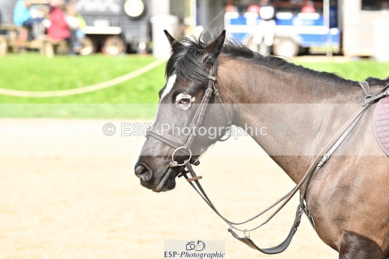 240303-125226-03627 - Cls 2 80-85cm 11.15 to End