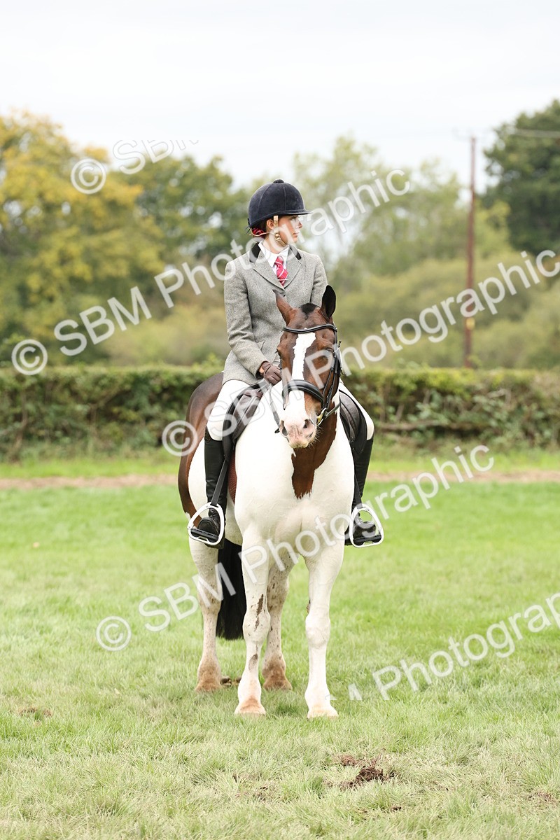 SBM_67295 - S67 - Piebald & Skewbald Horse Ridden