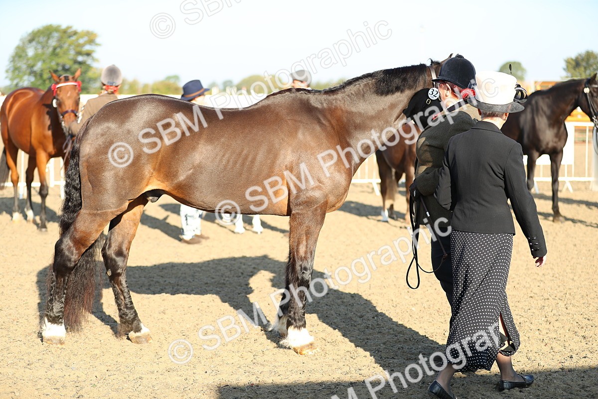 SBM_00019 - Class 40 Best Turned Out IH