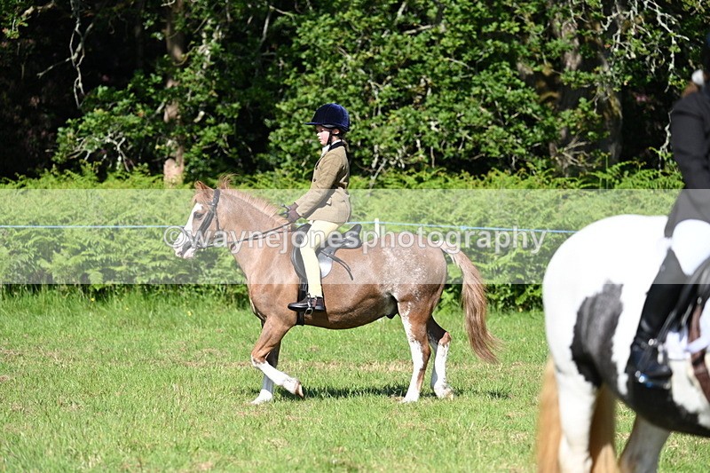 WJ7_0493 - Class 8 First Rally Pony