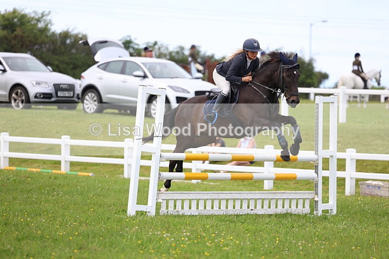 3E7A1781 - Class 13: Senior British Novice/90cm open