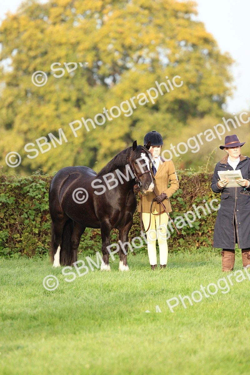 SBM_54859 - S39 - Starters In Hand Showing