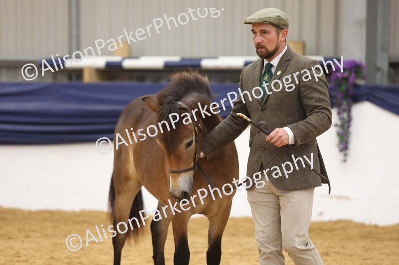 20260913-1283 - Class 113 - Yearling