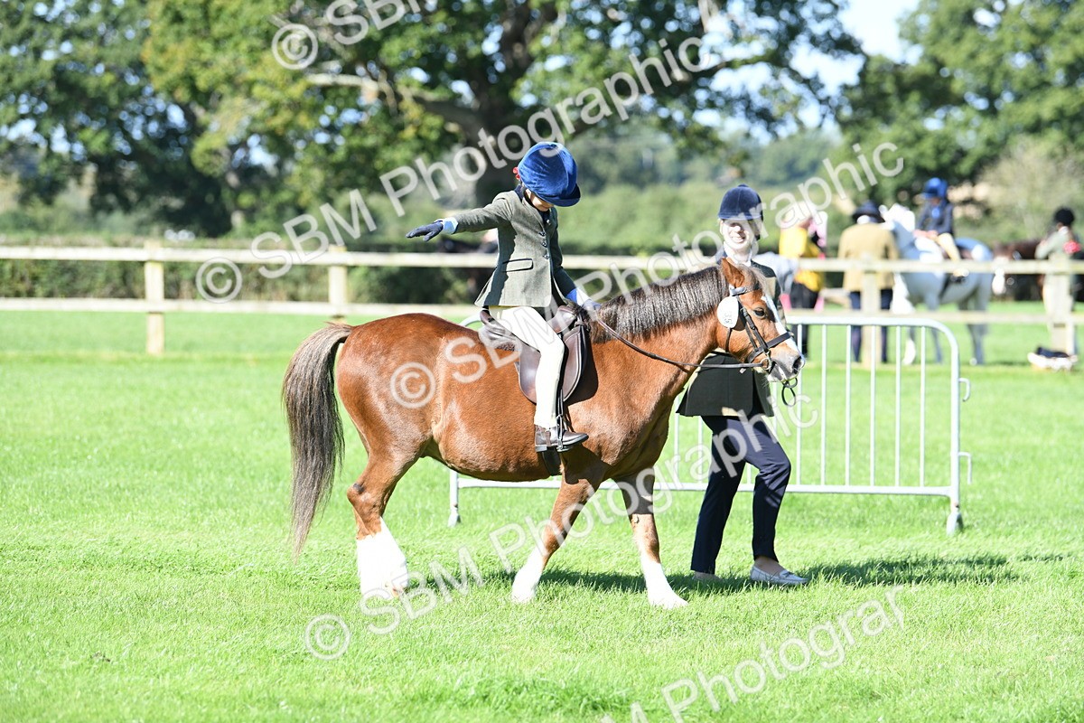 SBM_39529 - S18 - Novice & Newcomers Lead Rein Pony