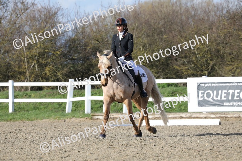 20260314-5803 - DR 7 - Elementary 1