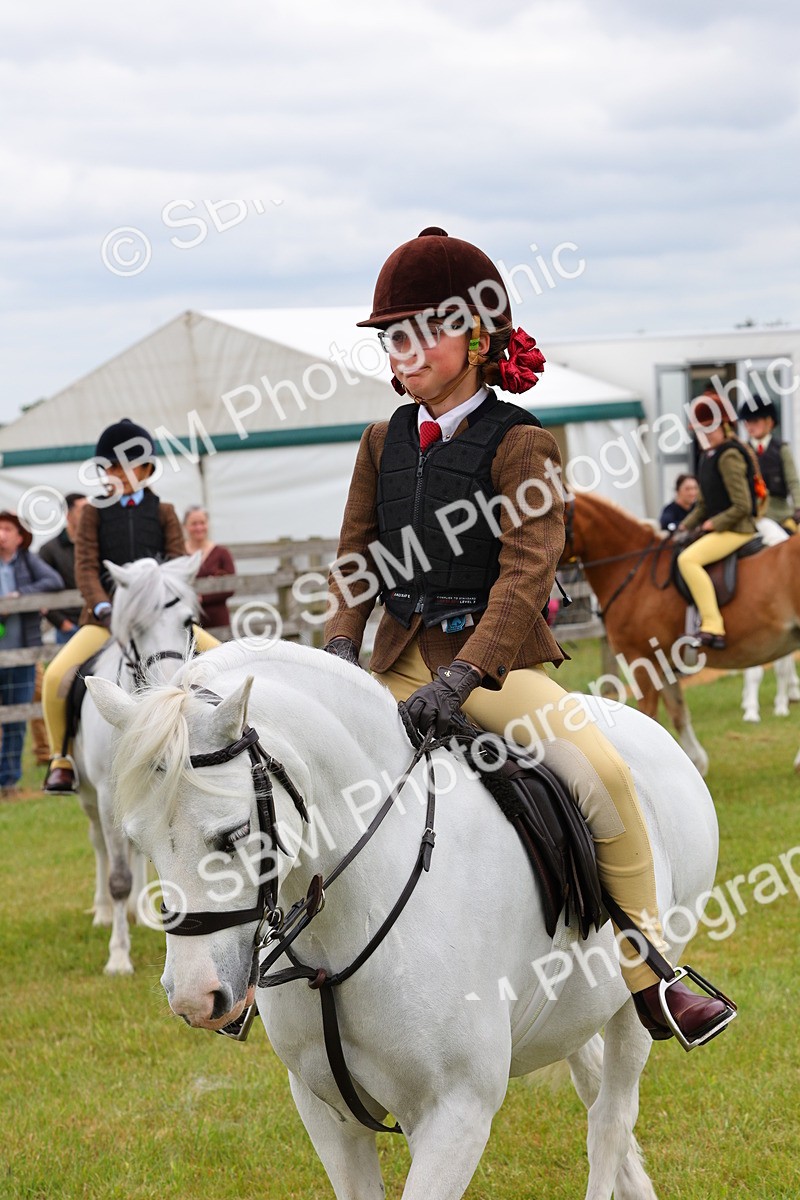 SBM_08827 - Class 42-43 - LIHS BSPS Heritage Working Sports Pony