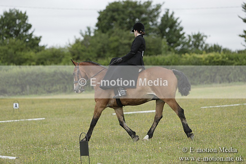 BVR160717-626 - Class 1 & 23a Dressage 16/07/17