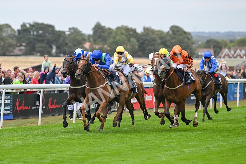 300825-Race 7-Urban Sprawl-2131 - Race 7