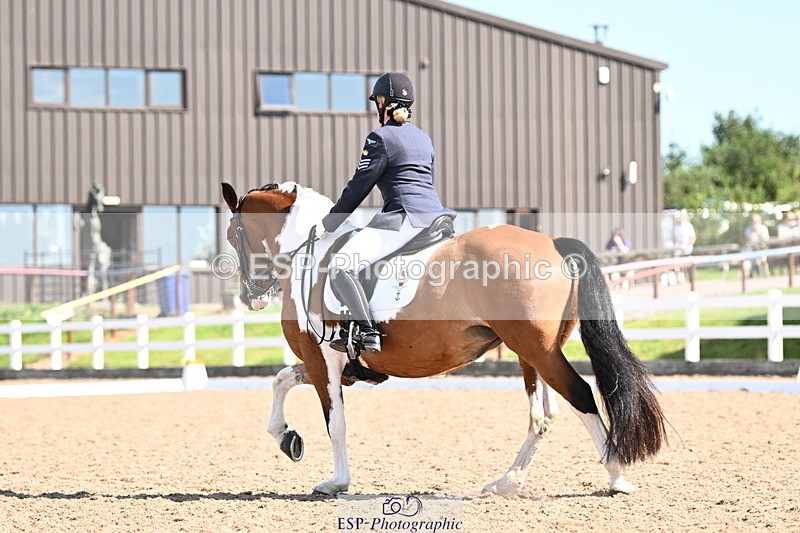 240816A-110949-04007 - 189-Mel.Day-Dolderwydd.lucky.Maisie