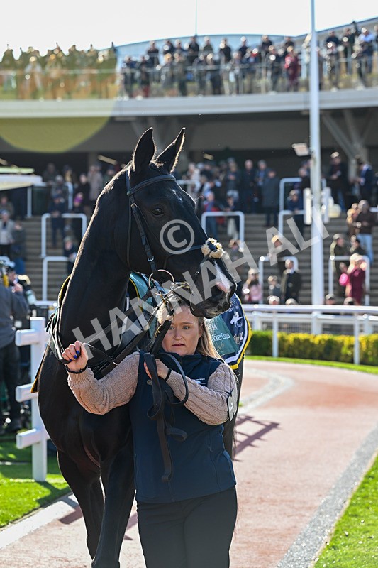 241025-Race 2-Addragoole-2284 - Race 2