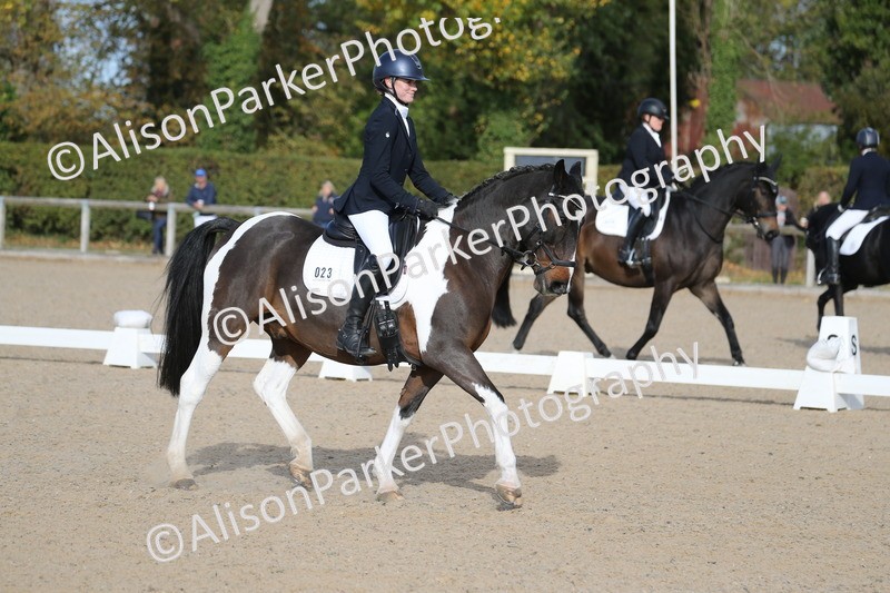20261011-0245 - Class 4 - Novice 6