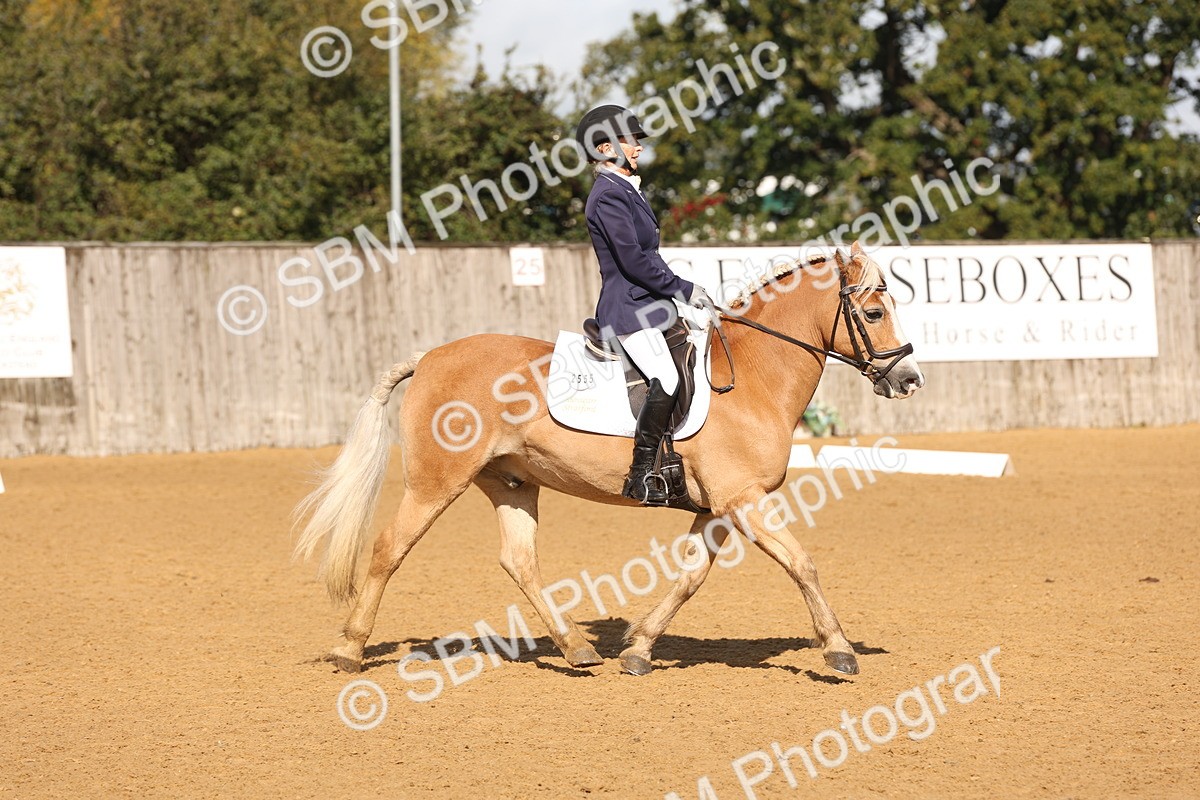 SBM_37678 - D18 - Grand Tour Championship Novice 2