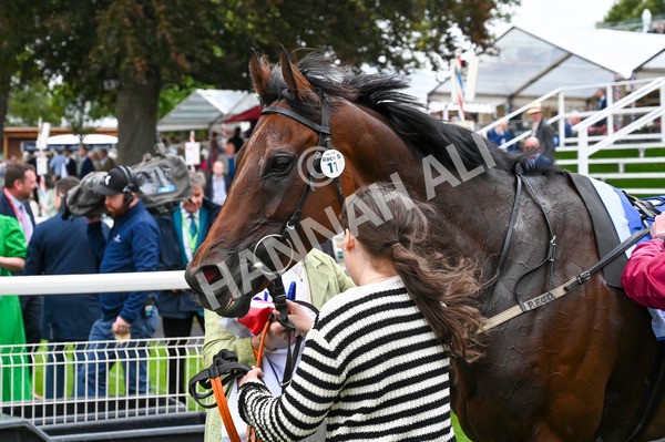 210824-Race 5-Extensio-5671 - Race 5 4.10pm Sky Bet Stayers Handicap