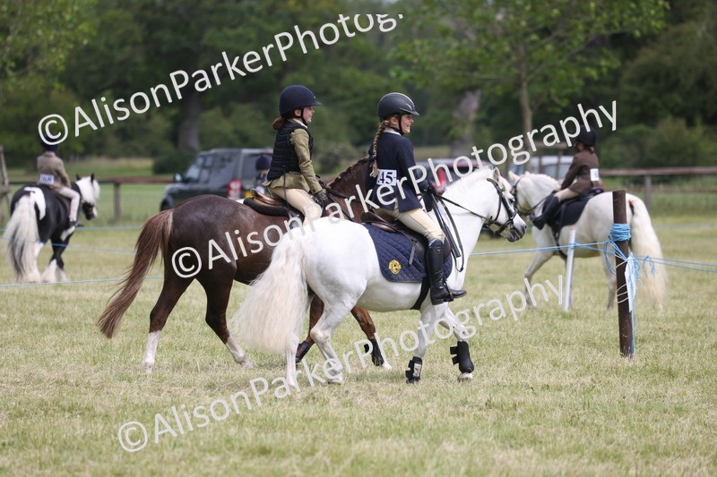 20260614-4113 - Class 24 - Mini and Major Pairs Jumping
