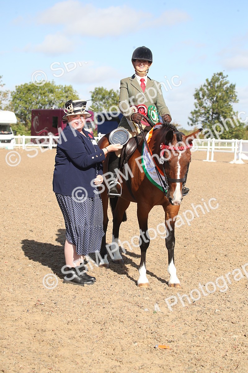 SBM_22739 - Class 601 - 2026 - Area - Ridden Diamond