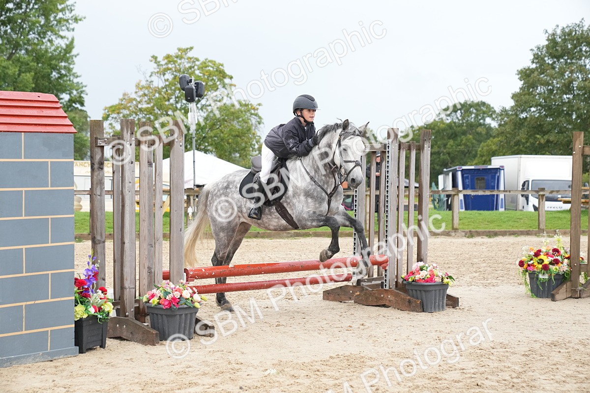 SBM_01461 - J54 - Clear Round 50cm