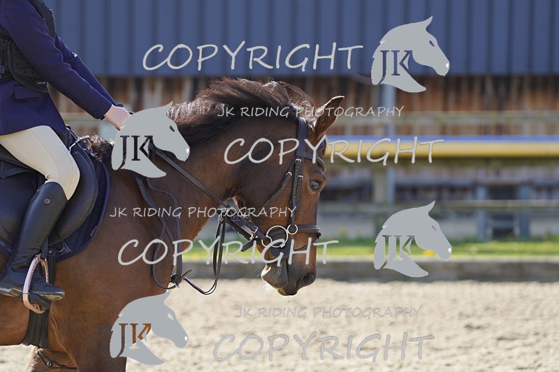 _DSC6458 - USJL Oakingham Stud 27.04.25