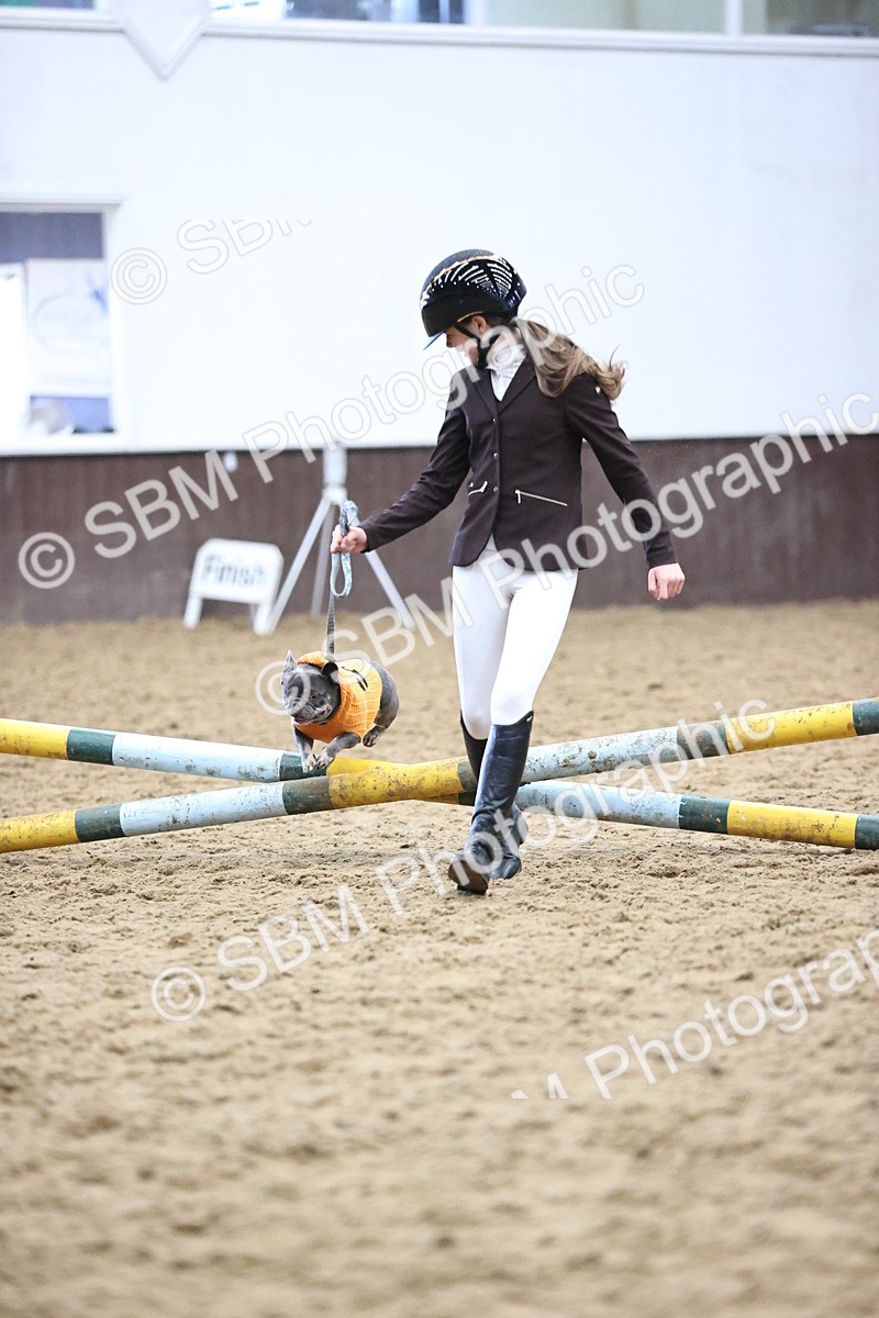 SBM_001191 - Class 3 - Horse & Hound 60cm