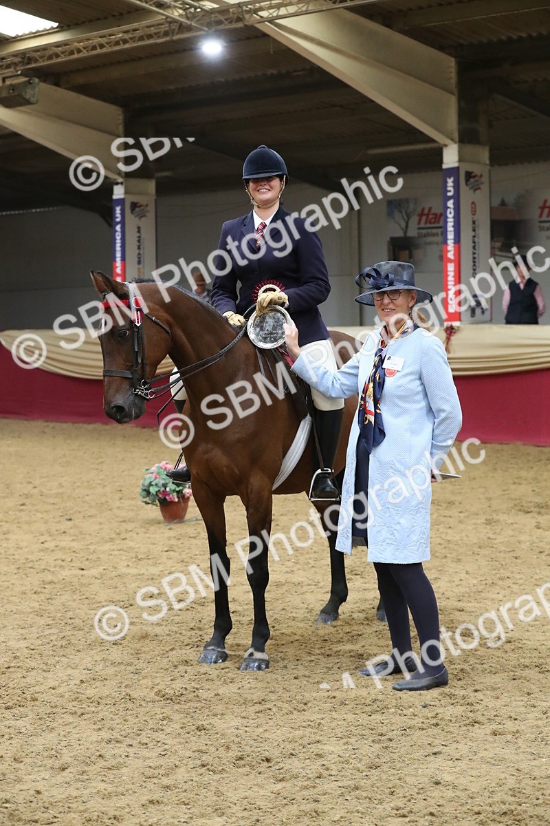 SBM_08465 - Class 11R Regional Ridden Veteran