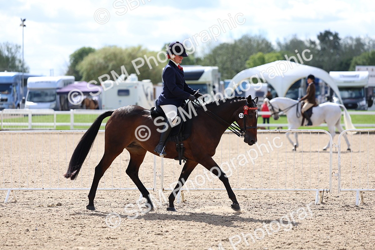 SBM_13265 - Class 311 - Ridden Show Pony Show Hunter Pony