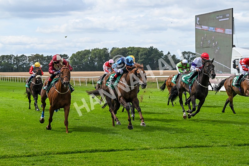 080825-Race 1-Golden Prosperity-1750 - Race 1