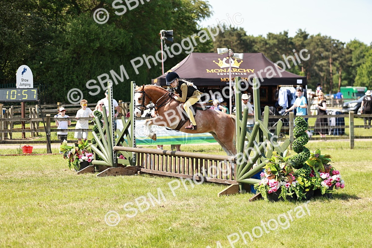 SBM_13588 - Class 108-109 - BSPS LIHS Open Gradle & Nursery Stakes