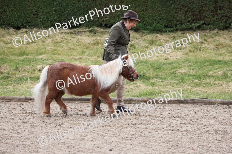 20250524-0006 - Class 1 - Best Condition