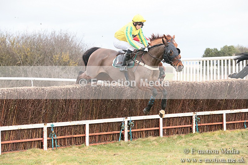 PtP 230119 54 - Royal Artillery Point-to-Point  - Larkhill  - 26/01/19