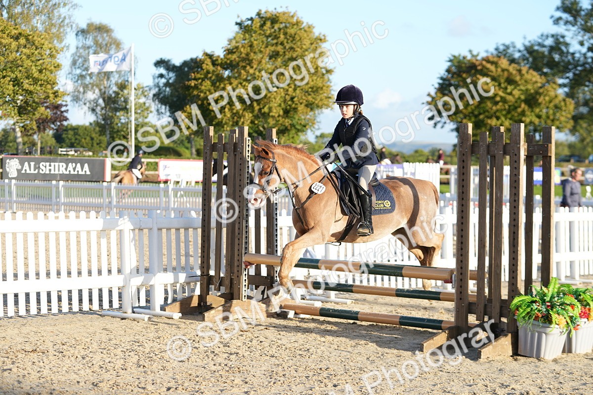 SBM_54083 - Supreme Championship 60cm 65cm