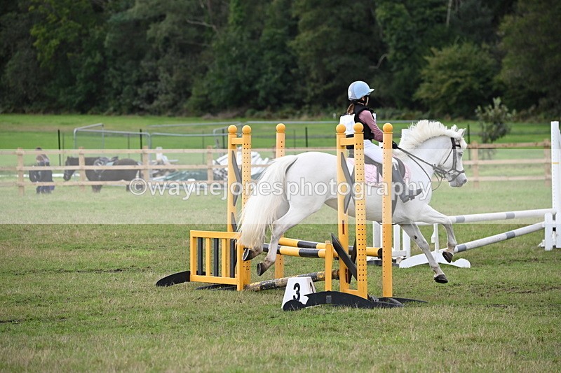 WJ6_1511 - 60cm Time 11:51 to 12:10