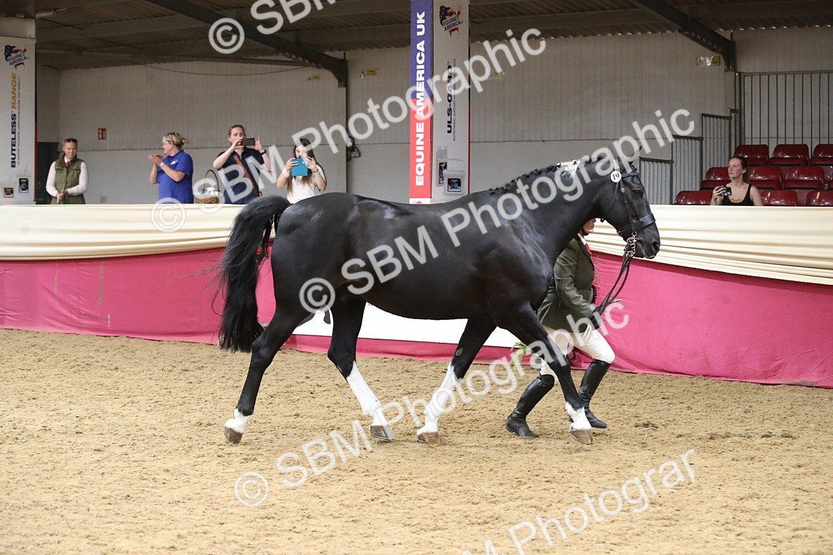 SBM_05830 - Class 9R - Regional IH Pre-Vet