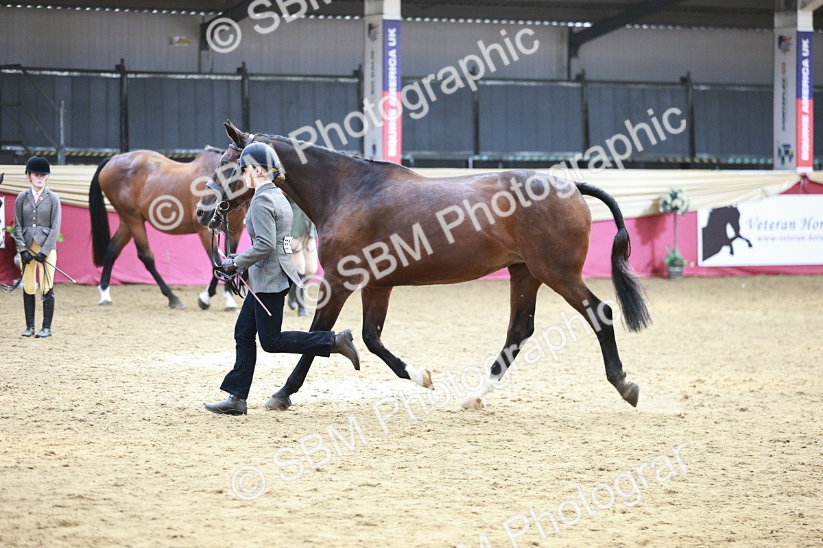 SBM_04853 - Class 7R - Regional IH Diamond