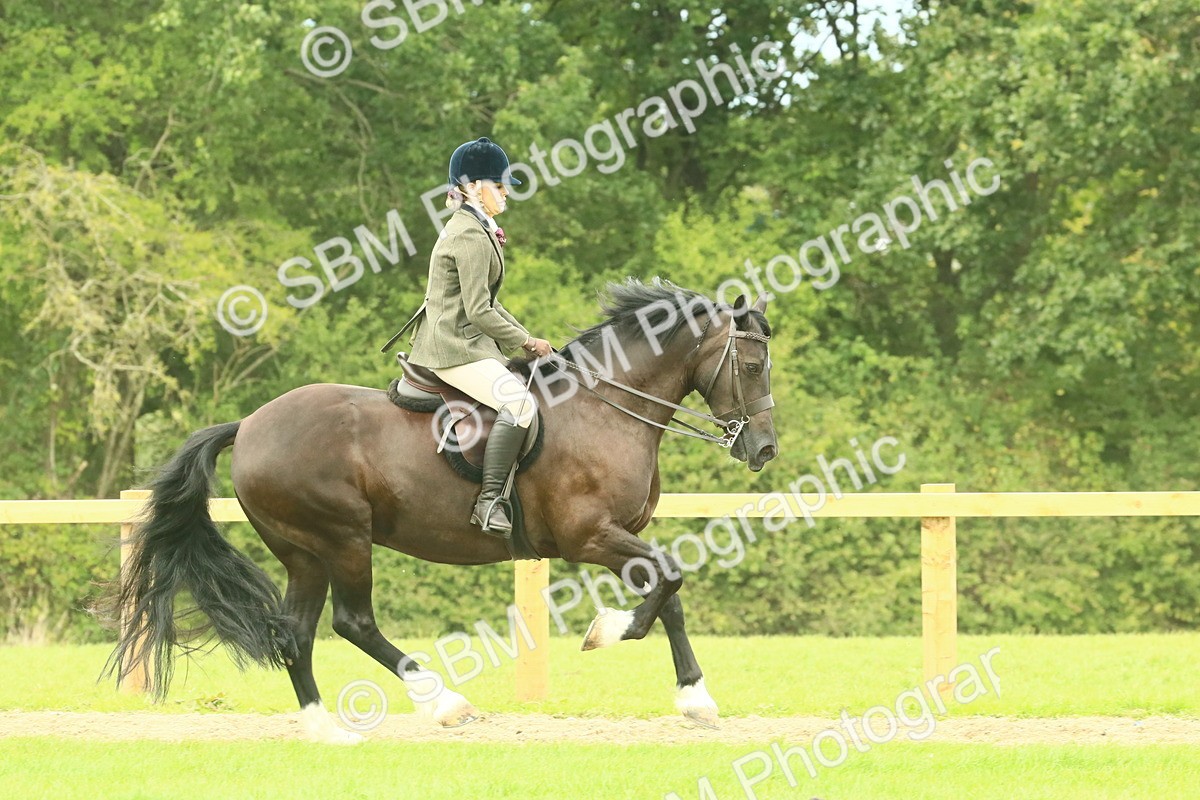 SBM_71918 - S60 - Mountain & Moorland Ridden Large Breeds