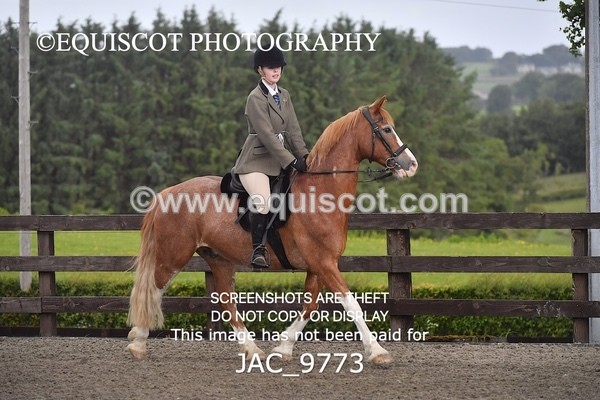 JAC_9773 - CLASS 2 Novice Working Hunter (0.60m - 0.70m)