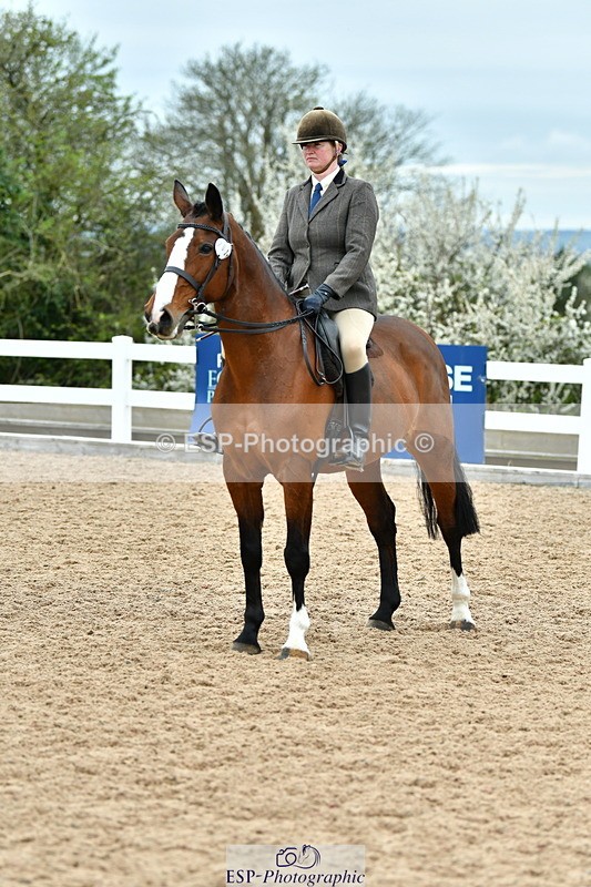 230416A-143158-05260 - Cls 74 Warmblood