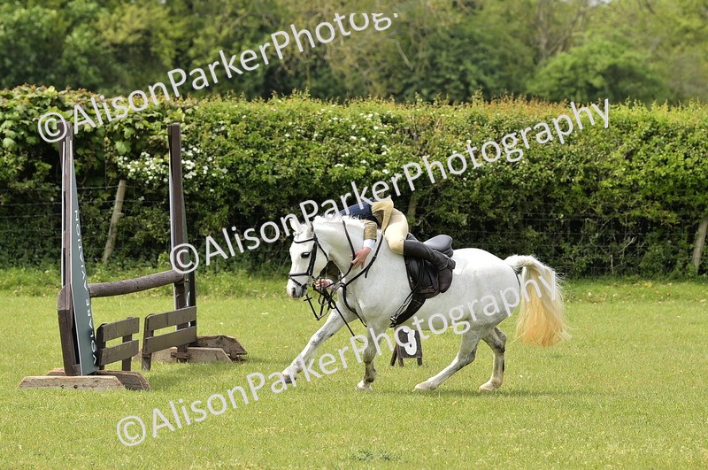 20260426-2410 - Class 21 - Working Hunter Ponies