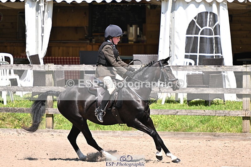 240729B-121244-02606 - Showjumping Competition
