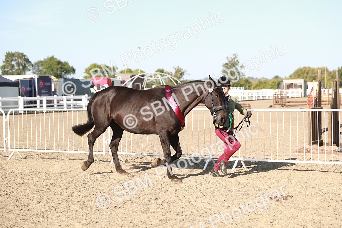 SBM_00172 - Class 40 Best Turned Out IH