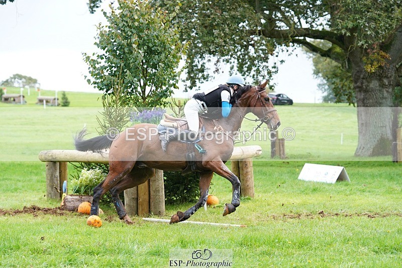 231020-130258-08842 - 070-SLIGO.CASTLE.JACOMAR-Veera.Peltokangas-XC