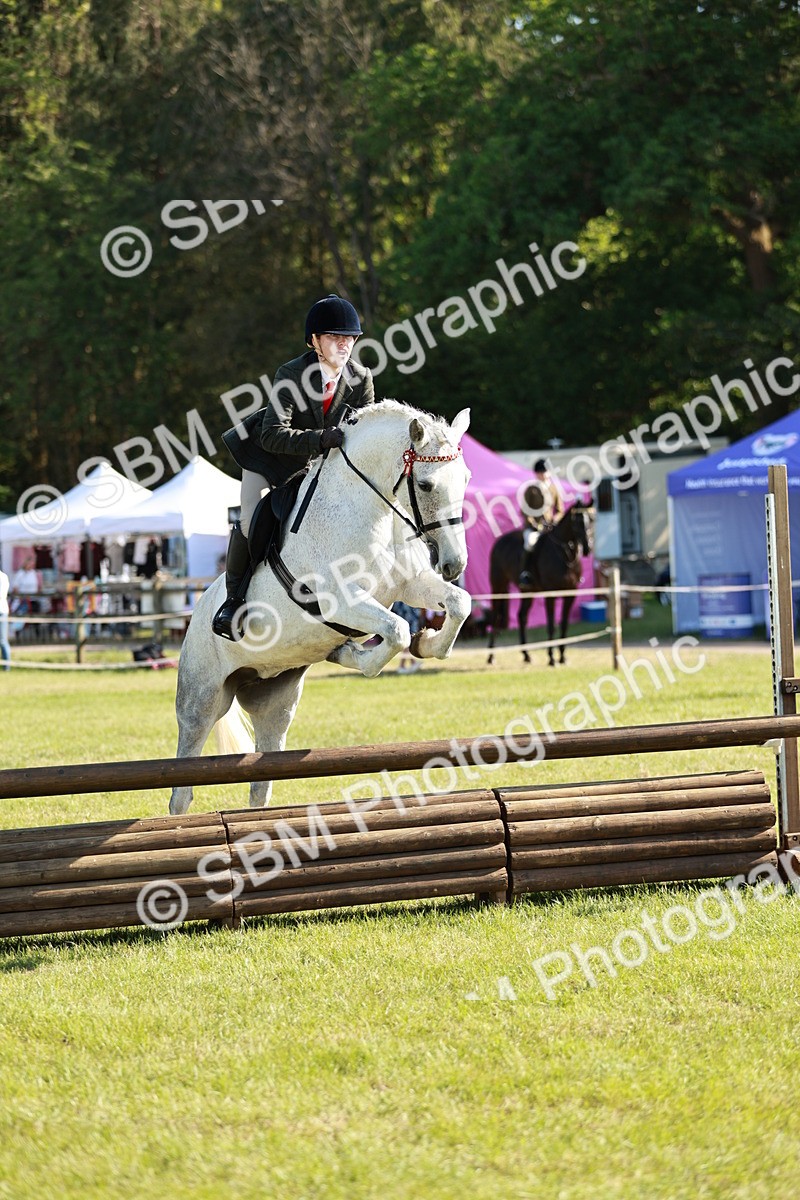 SBM_19208 - Class 115-116 - LIHS BSHA Rising Star Working Hunter & Show Horse
