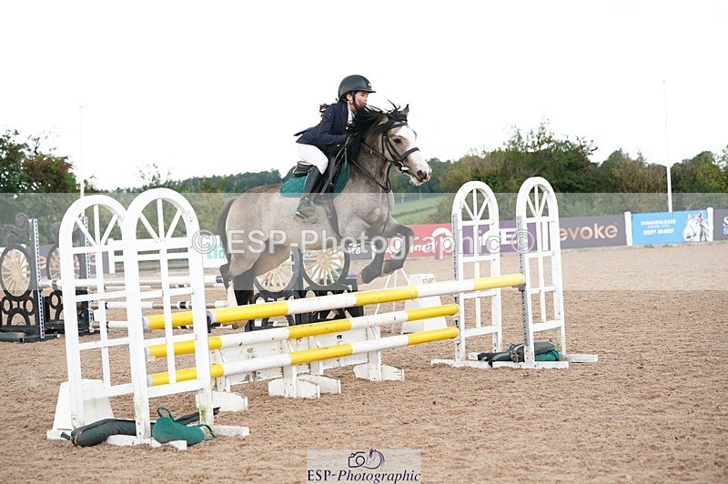 250921-153732-04142 - Cls 31 Stepping Stones